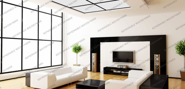 Etiam commodo convallis